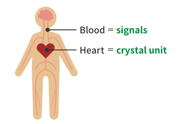 An illustration showing how crystal units work as parts in the human body. The heart is the crystal unit, and the blood is the signals.