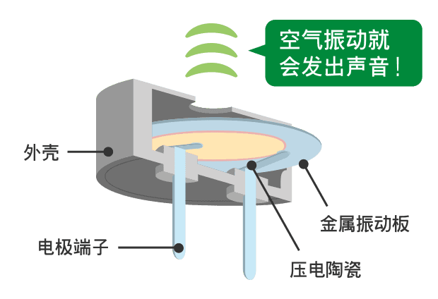 蜂鸣器内部示意图。外壳内有一个薄薄的圆盘状物体,圆盘外围是金属振动板,中心则是压电陶瓷。从外壳中向下伸出两根棒状的电极端子。压电陶瓷振动会带动空气振动,从而发出声音!