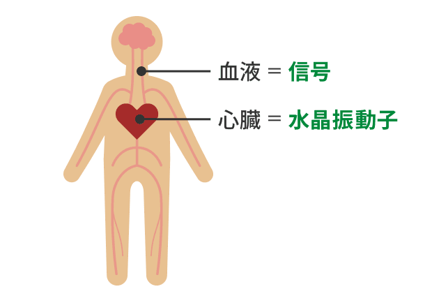 水晶振動子 なるほど 電子部品ライブラリ ハッケン デンシランド 株式会社村田製作所 公式サイト